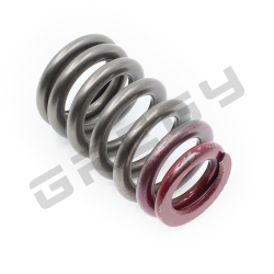 Valve spring