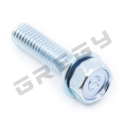 Special screw m5x20