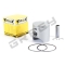 Piestna sada GAS GAS EC 300 - Rozmer: 71,96 mm